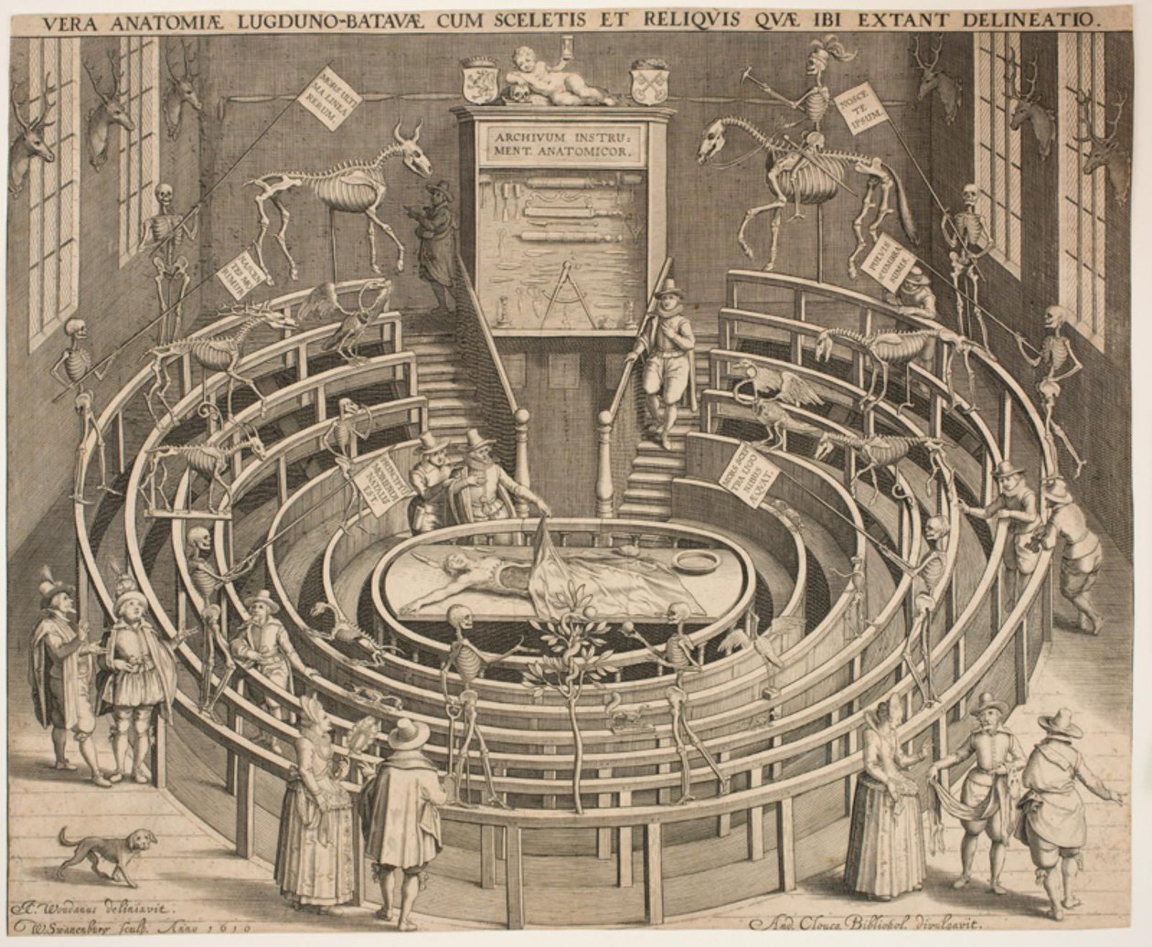 Der Saal des anatomischen Theaters in Leiden von Willem Isaaksz Swanenburgh