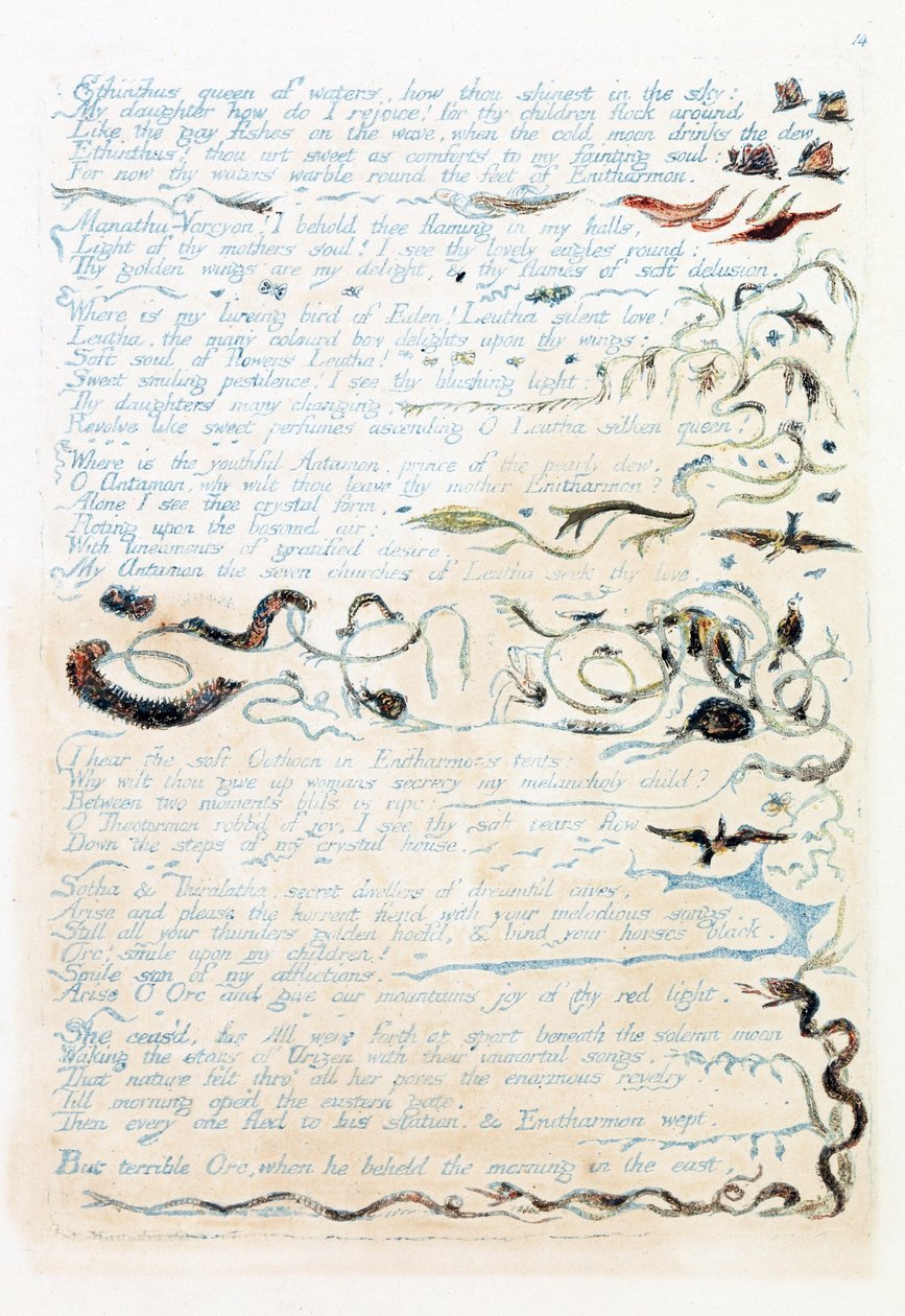 Illustration aus 