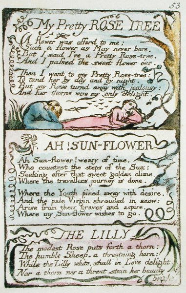 Mein hübscher Rosenbaum, Platte 53 (Bentley 43) aus Die Lieder der Unschuld und Erfahrung (Bentley Kopie L) 1789-94 von William Blake
