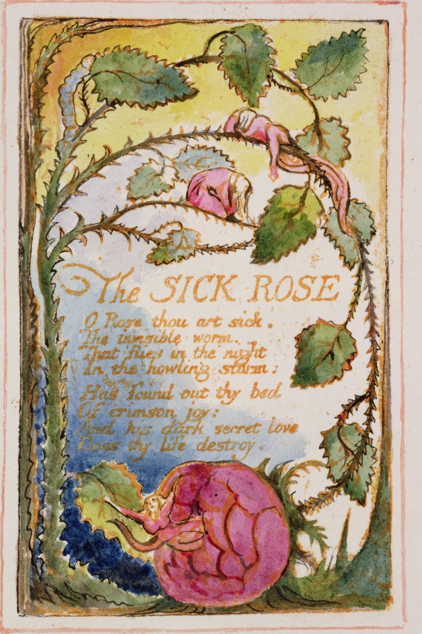 Die kranke Rose: Platte 39 aus Songs of Innocence and of Experience (Kopie AA) um 1815-26 von William Blake