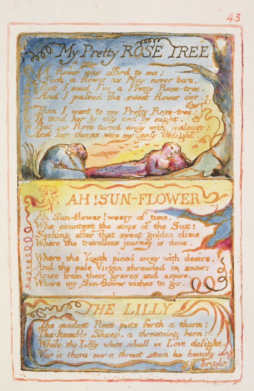 Meine schöne Rosenblüte; Ach! Sonnenblume; Die Lilie: Platte 43 aus Songs of Innocence and of Experience (Kopie AA) ca. 1815-26 von William Blake