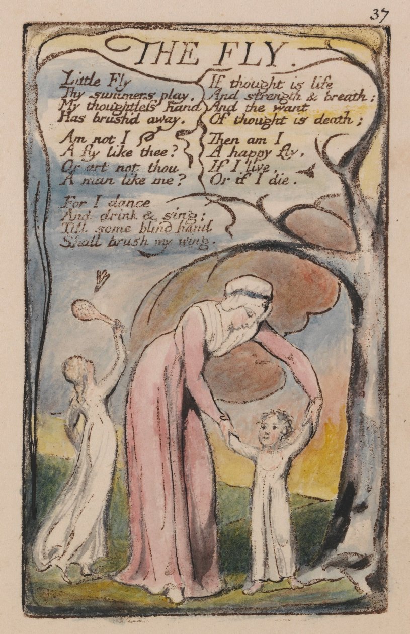 Lieder der Unschuld und der Erfahrung, Platte 37, Die Fliege (Bentley 40) von William Blake