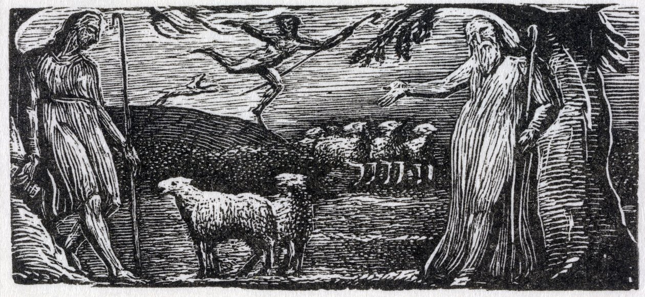 Thenot ermahnt Colinet, Lightfoot in der Ferne, Illustration aus Dr. Thorntons 