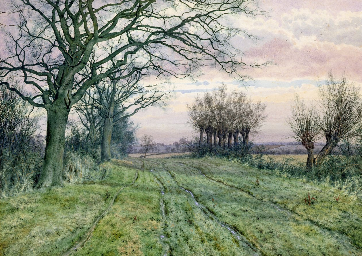Ein Weg in den Fenlands mit beschnittenen Weiden, 1887 von William Fraser Garden