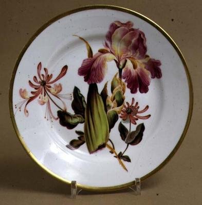 Derby Dessertteller dekoriert mit Iris und Geißblatt, ca. 1795 von William Quaker attributed to Pegg