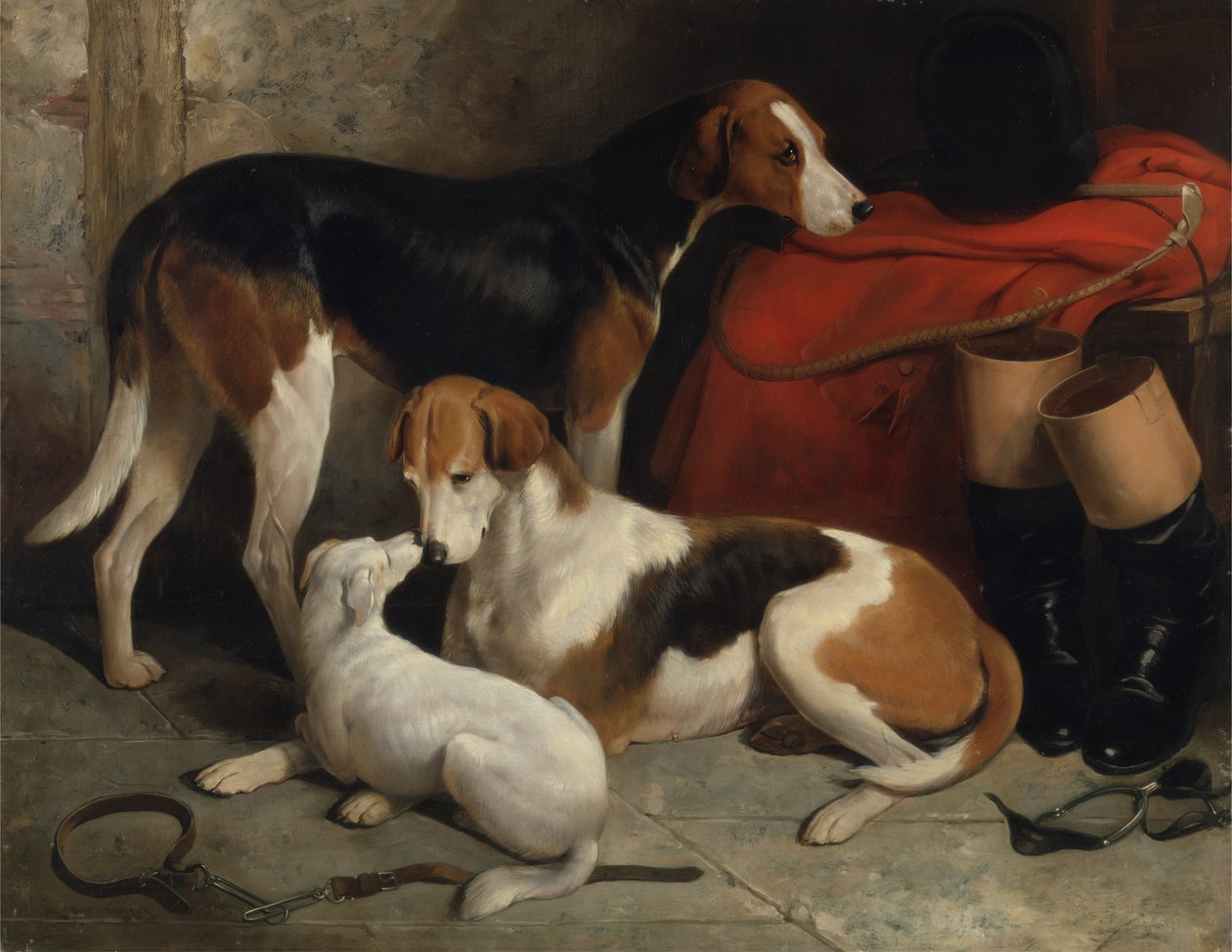 Ein Paar von Lord Henry Bentincks Foxhounds mit einem Terrier, ca. 1845 von William Barraud