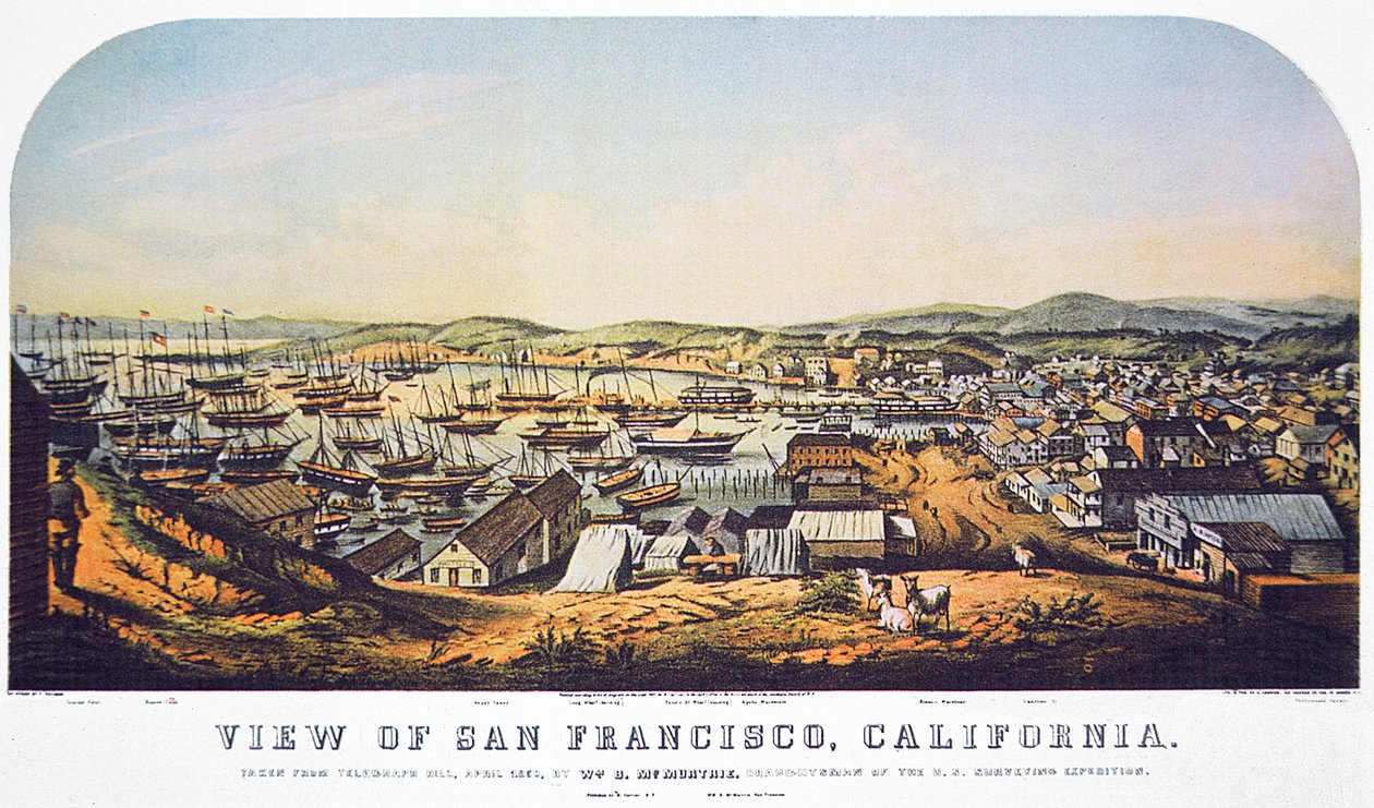 Blick auf San Francisco, Kalifornien, vom Telegraph Hill, April 1850 von William Birch McMurtrie