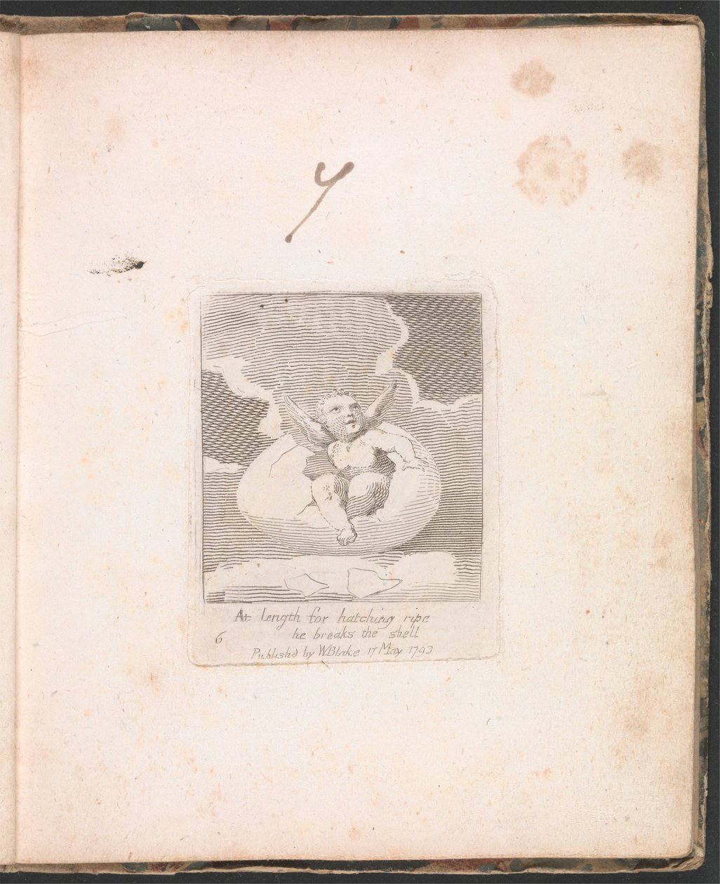 Für Kinder. Die Tore des Paradieses, Tafel 8, Endlich bricht er die Schale auf von William Blake