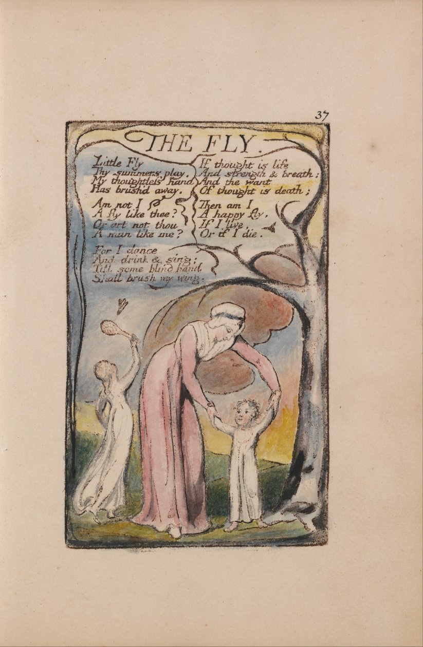 Lieder der Unschuld und der Erfahrung, Tafel 37, Die Fliege (Bentley 40) von William Blake