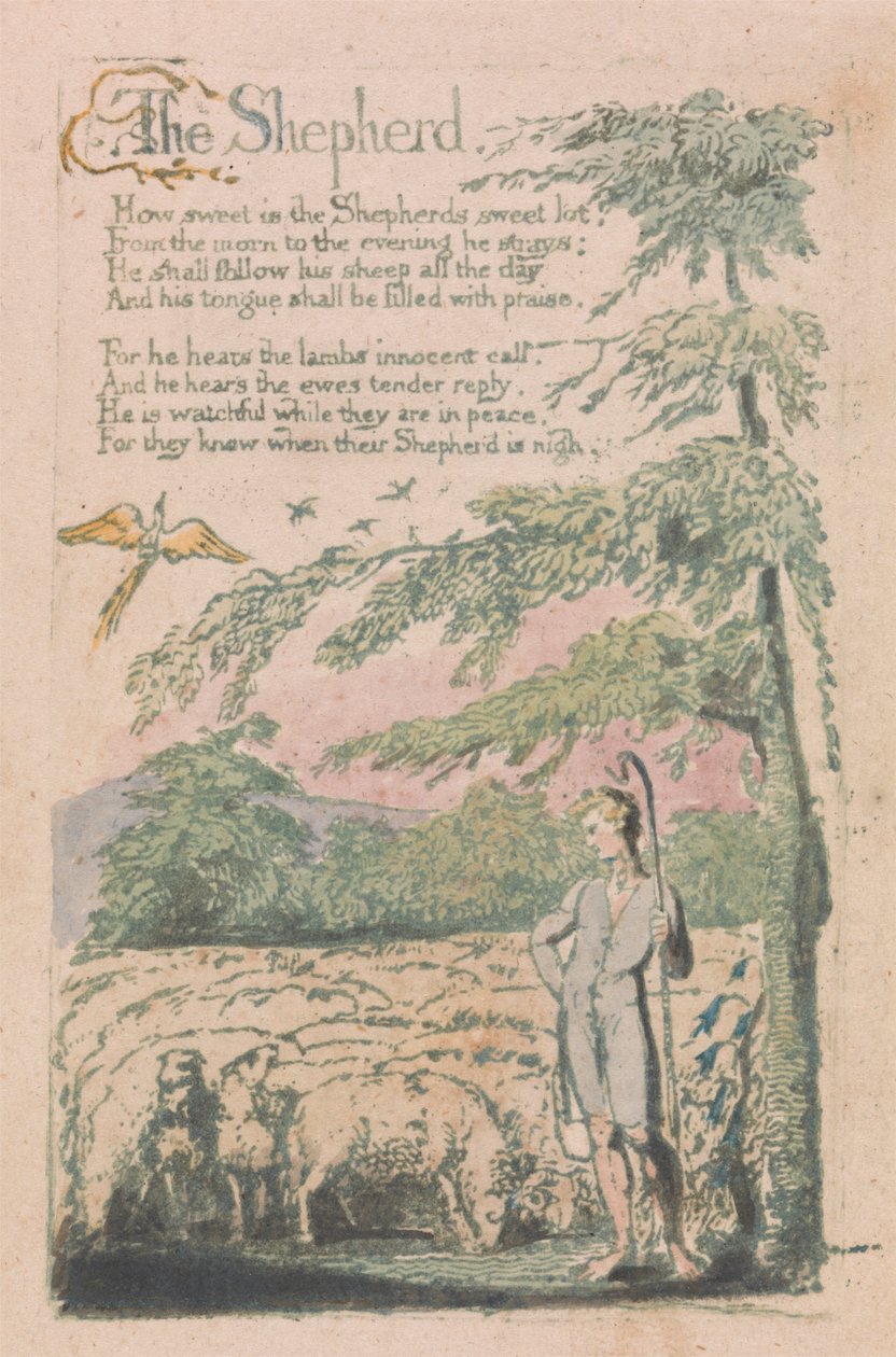 Lieder der Unschuld und der Erfahrung, Platte 4, "Der Hirte" (Bentley 5) von William Blake