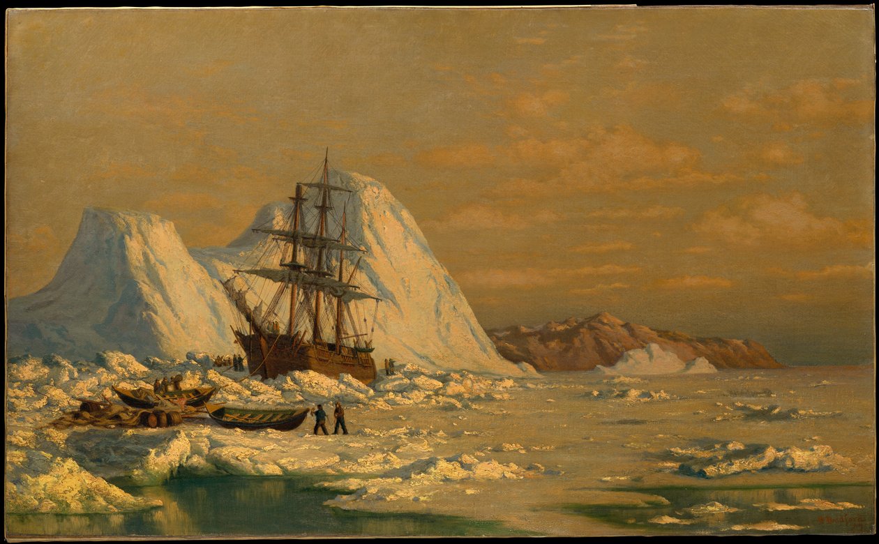 Ein Vorfall beim Walfang von William Bradford