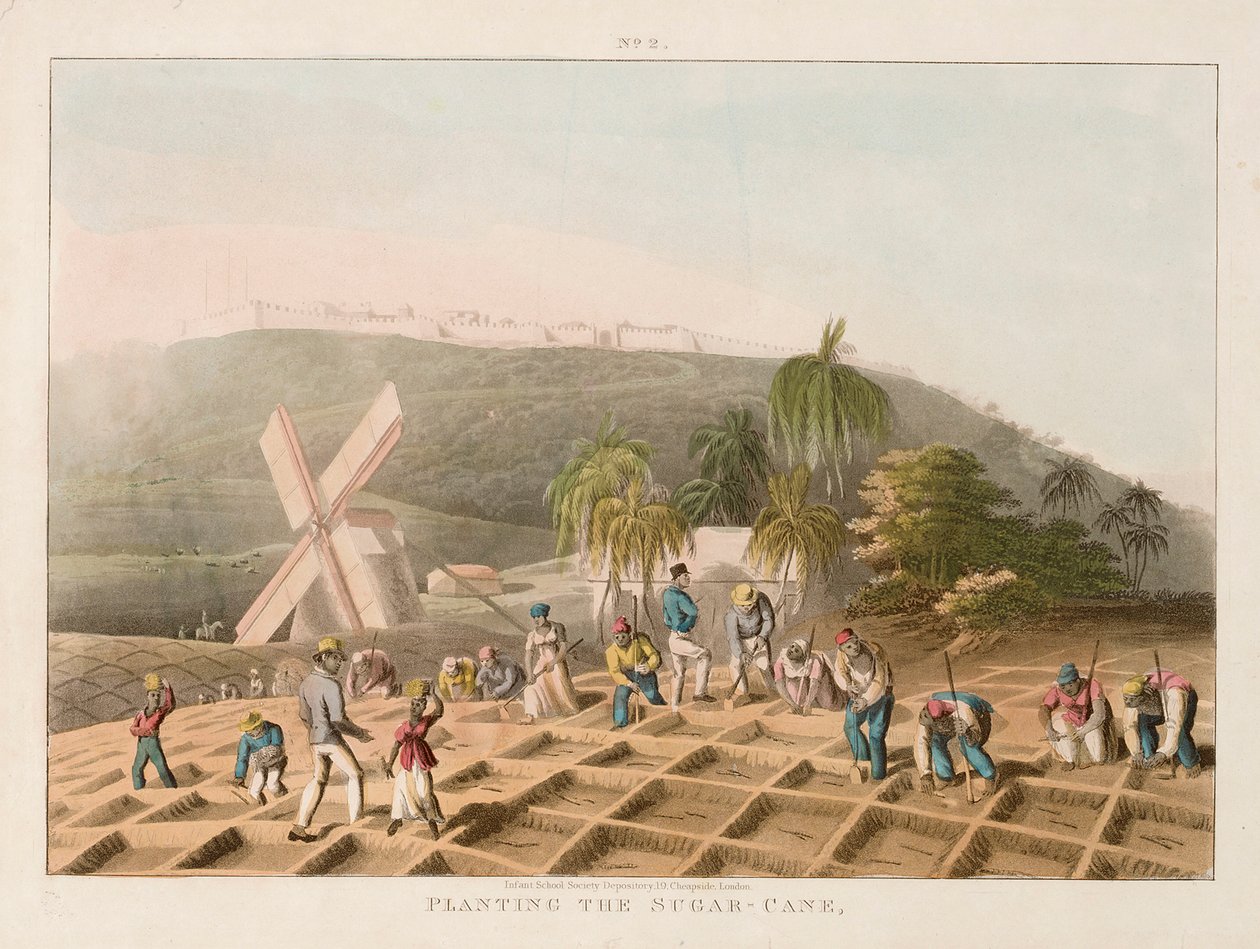 Zuckerrohrpflanzung, um 1820 von William Clark