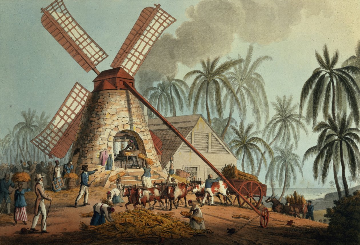 Der Brecher presst Saft aus dem Zuckerrohr, Antigua von William Clark