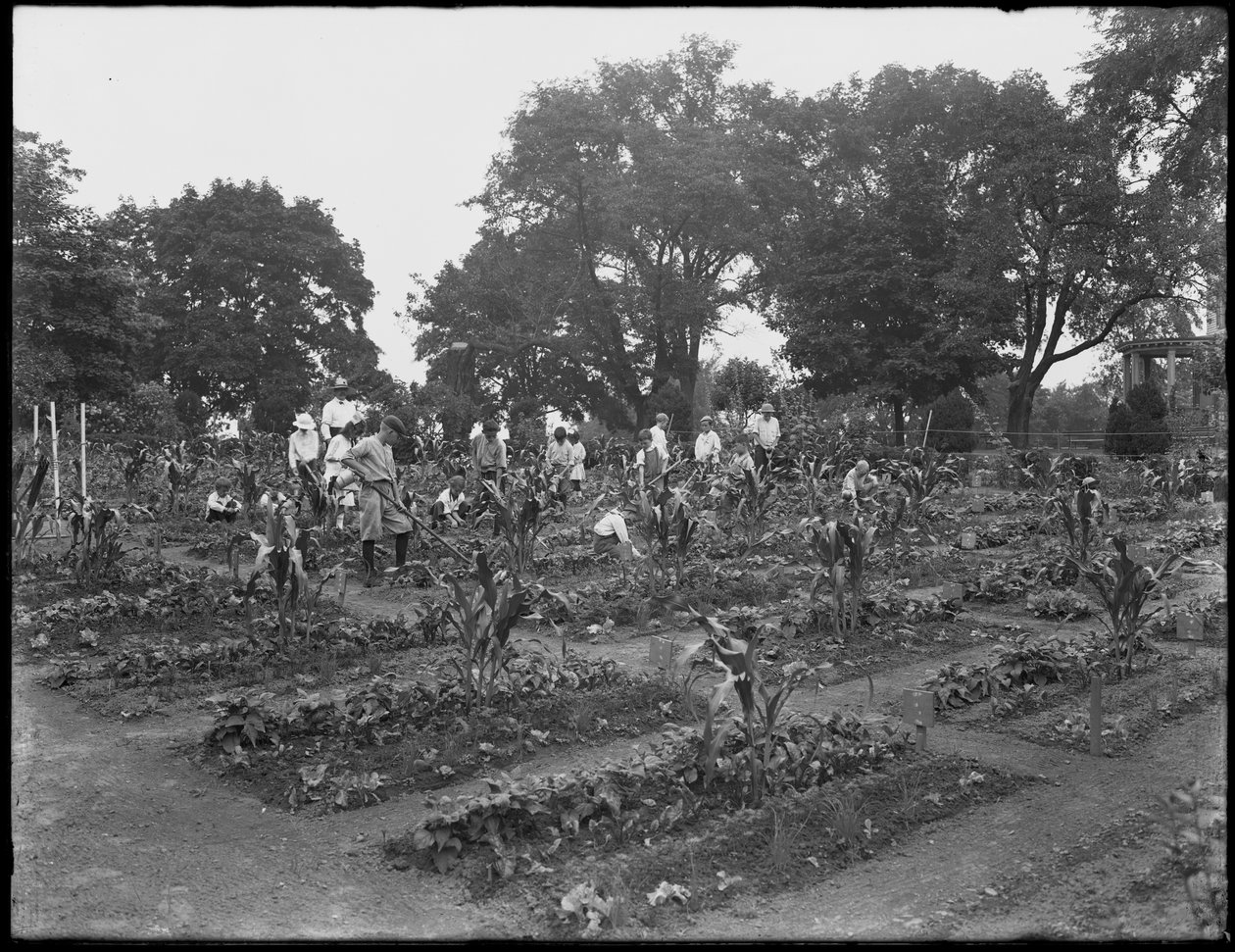 Kinder arbeiten im Schulgarten im Isham Park, New York City, 5. August 1914 von William Davis Hassler