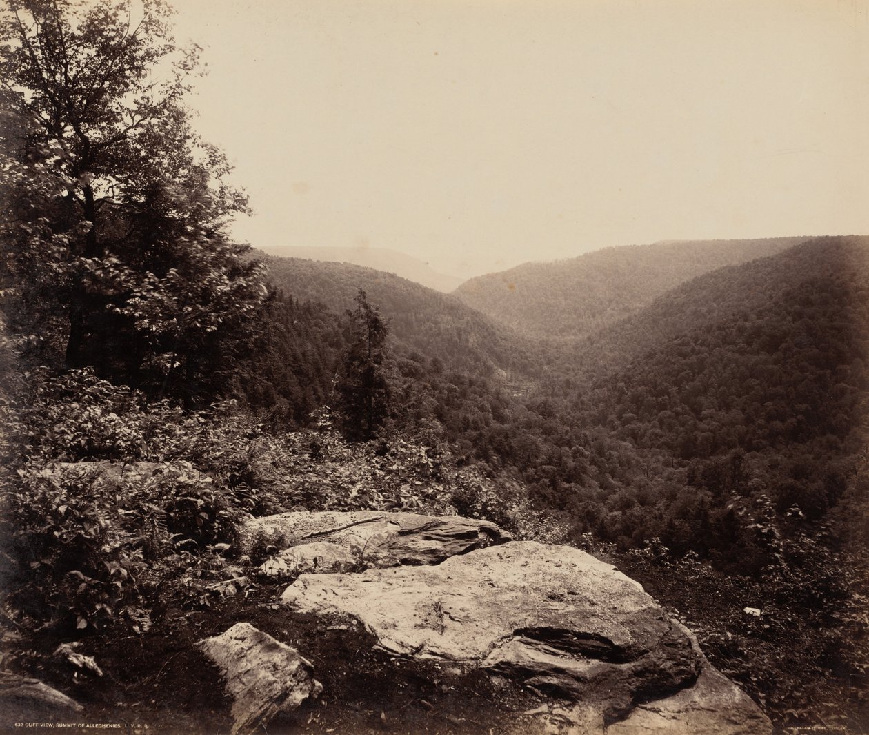 Klippenansicht, Gipfel der Alleghenies von William H. Rau