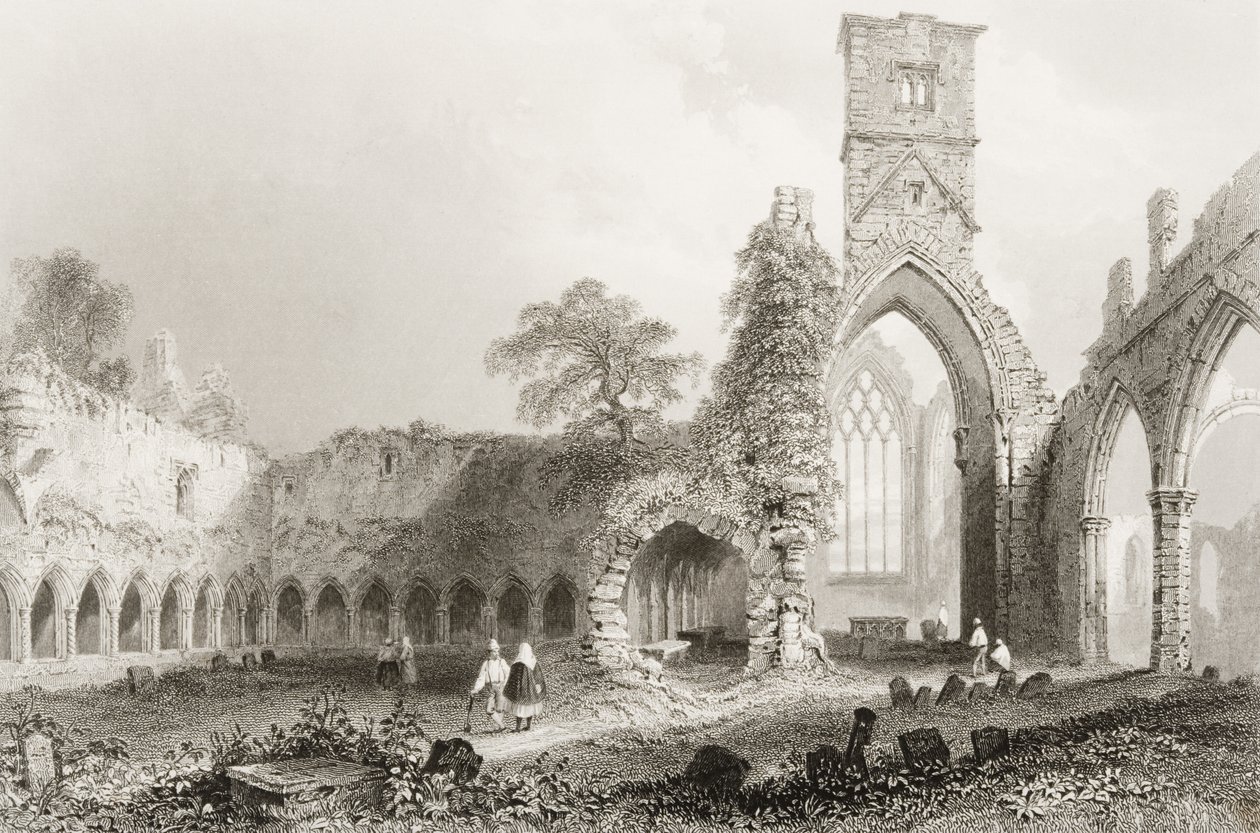 Sligo Abbey, County Sligo, Irland, aus 