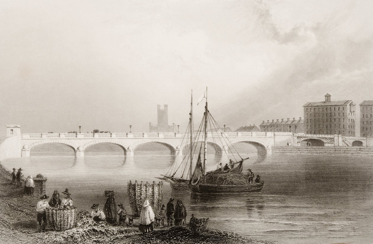 Wellesley-Brücke, Limerick, Irland, aus 