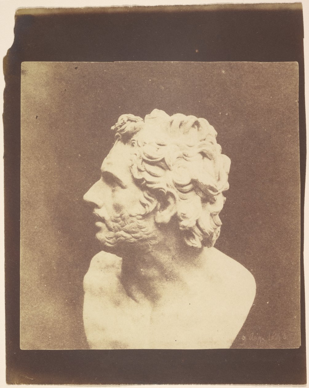 [Büste des Patroklos] von William Henry Fox Talbot