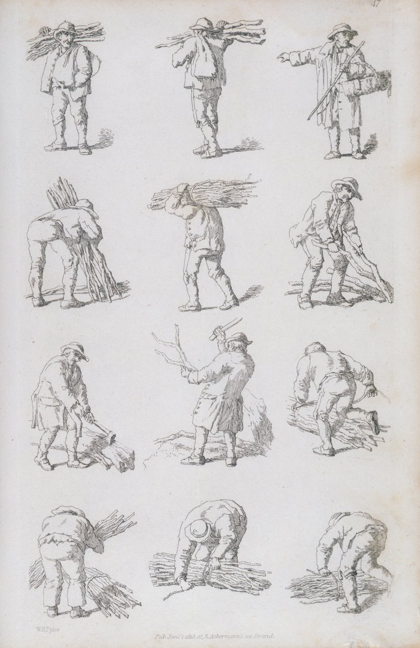 Illustration aus 