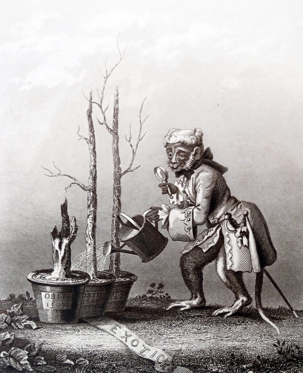 Schwanzstück zum Katalog des Künstlers von William Hogarth