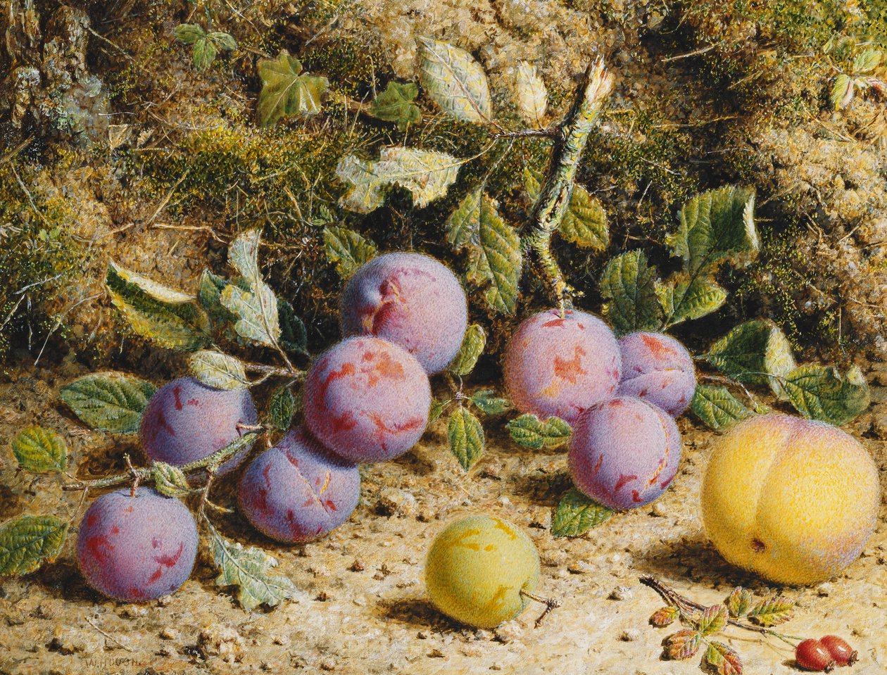 Stillleben mit Pflaumen, einem Pfirsich und Hagebutten von William Hough