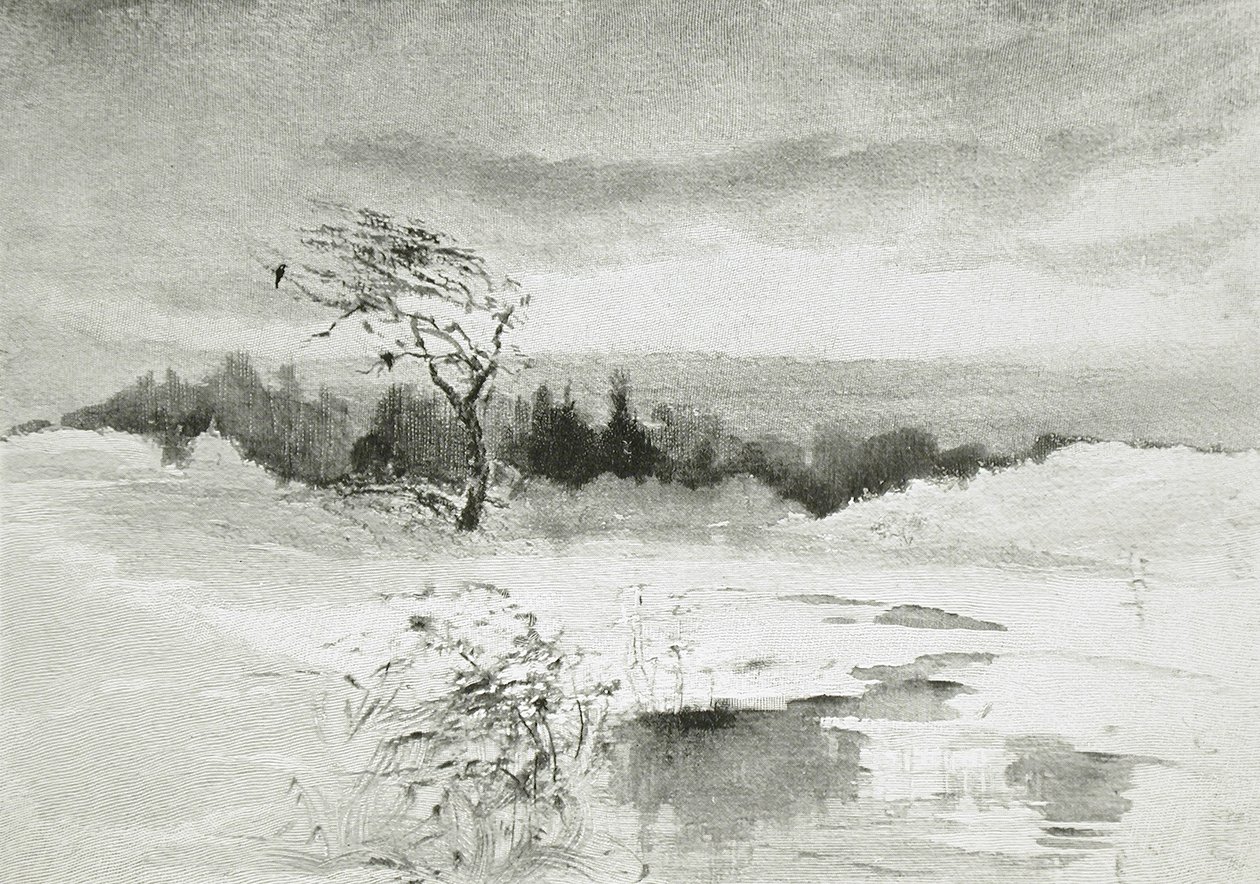 Landschaft mit Wasser und windgepeitschtem Baum von William Parsons Winchester  Dana