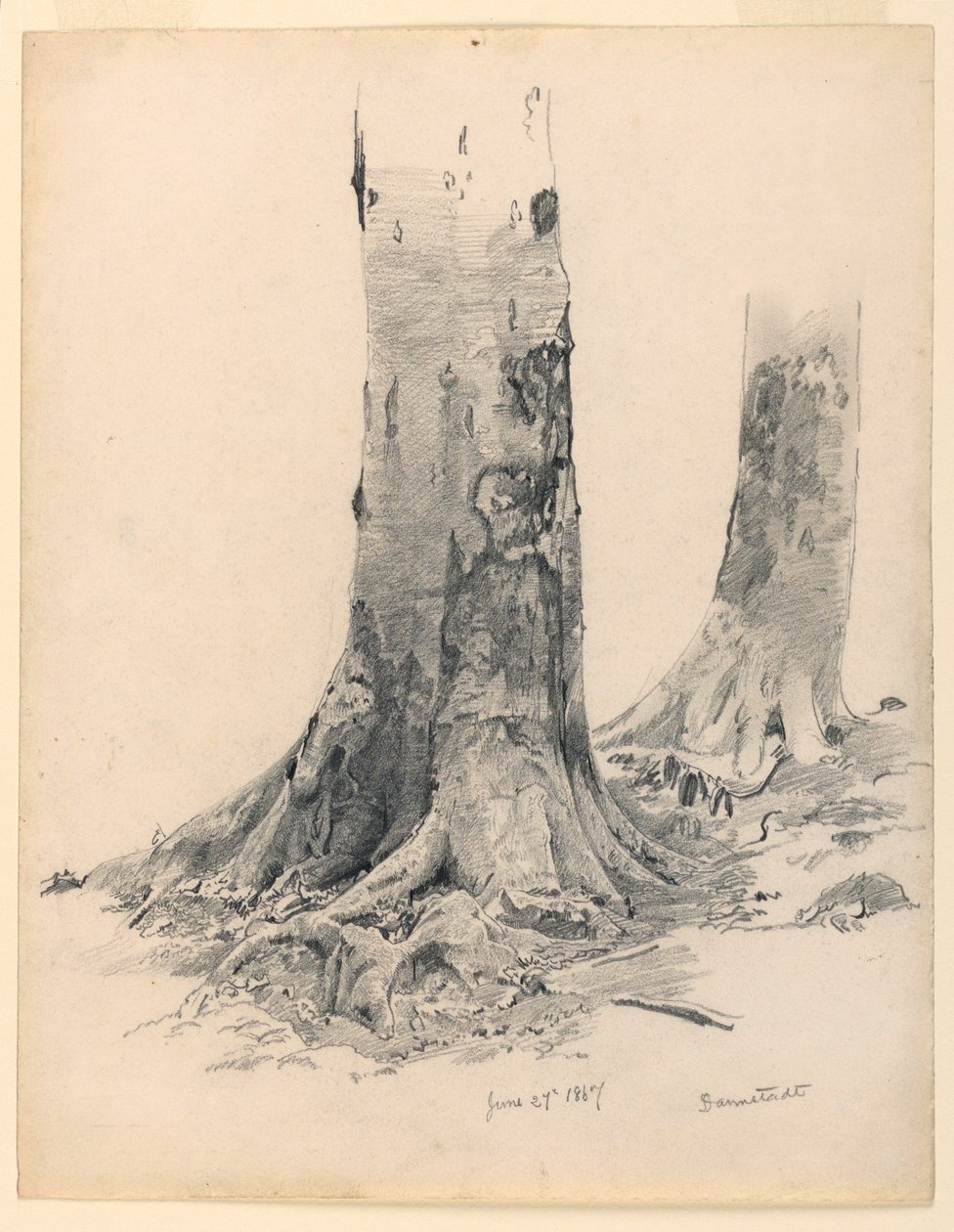 Zeichnung, Baumstämme, Darmstadt, 27. Juni 1867 von William Trost Richards
