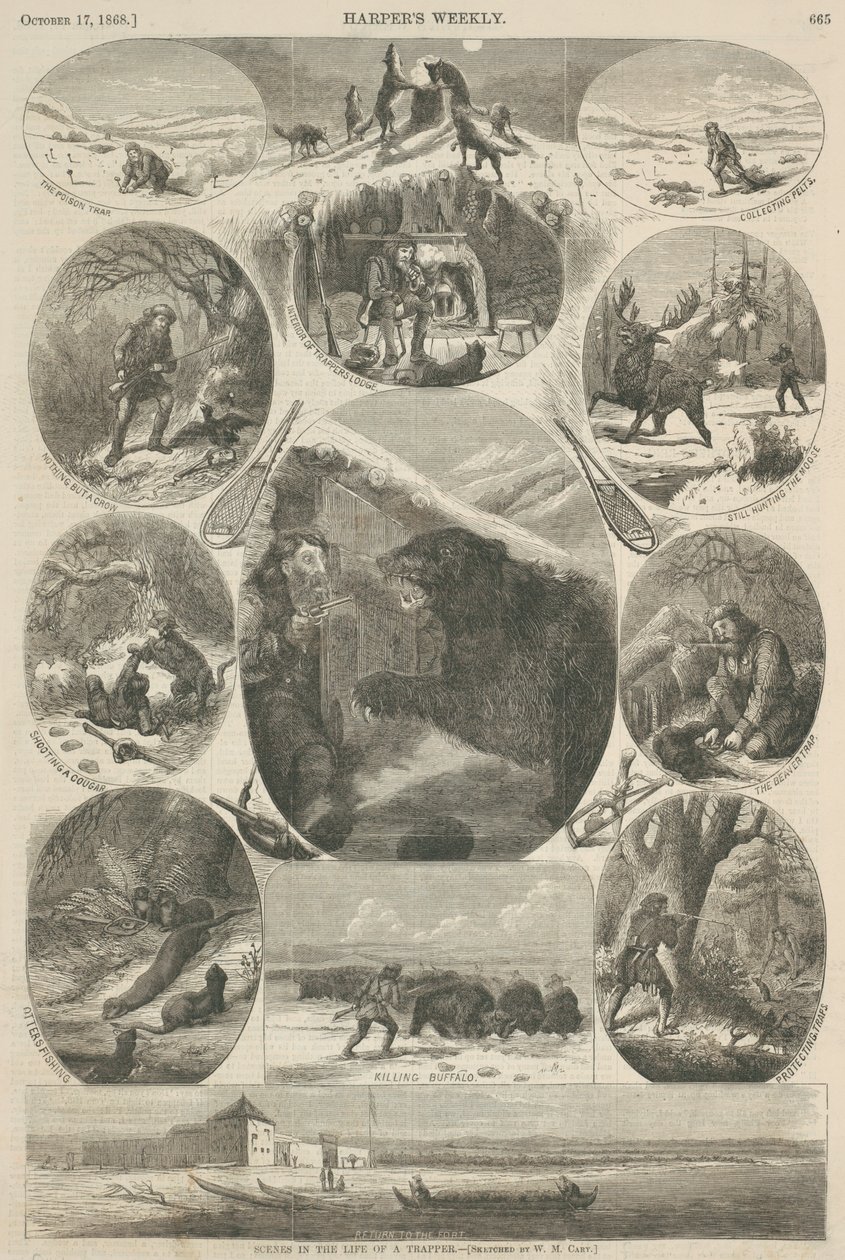 Szenen aus dem Leben eines Fallenstellers, aus 