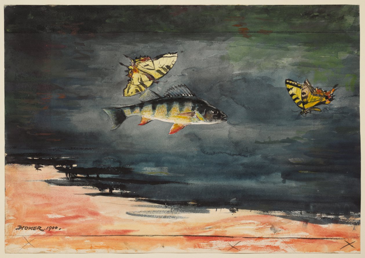 Fische und Schmetterlinge von Winslow Homer