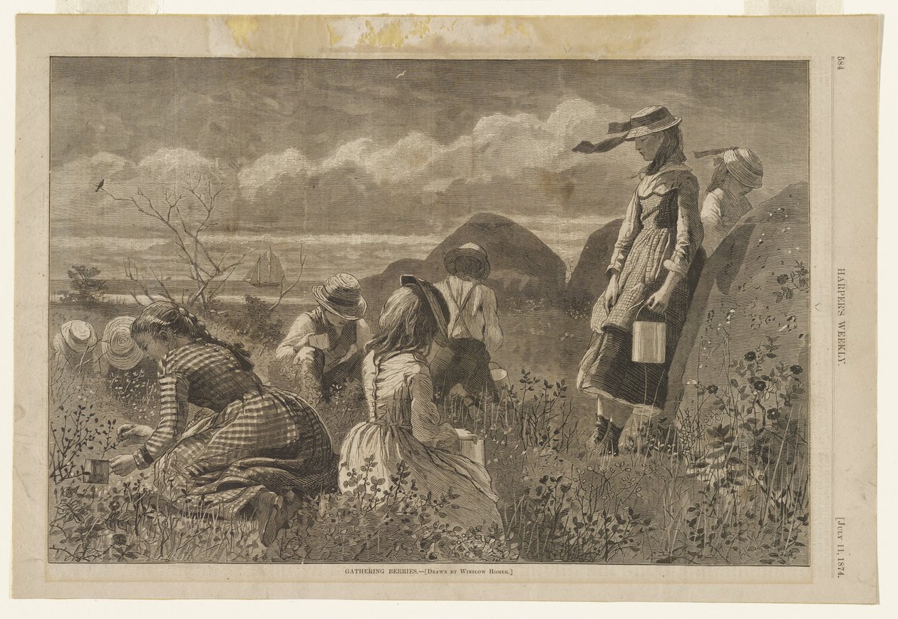 Beeren sammeln von Winslow Homer