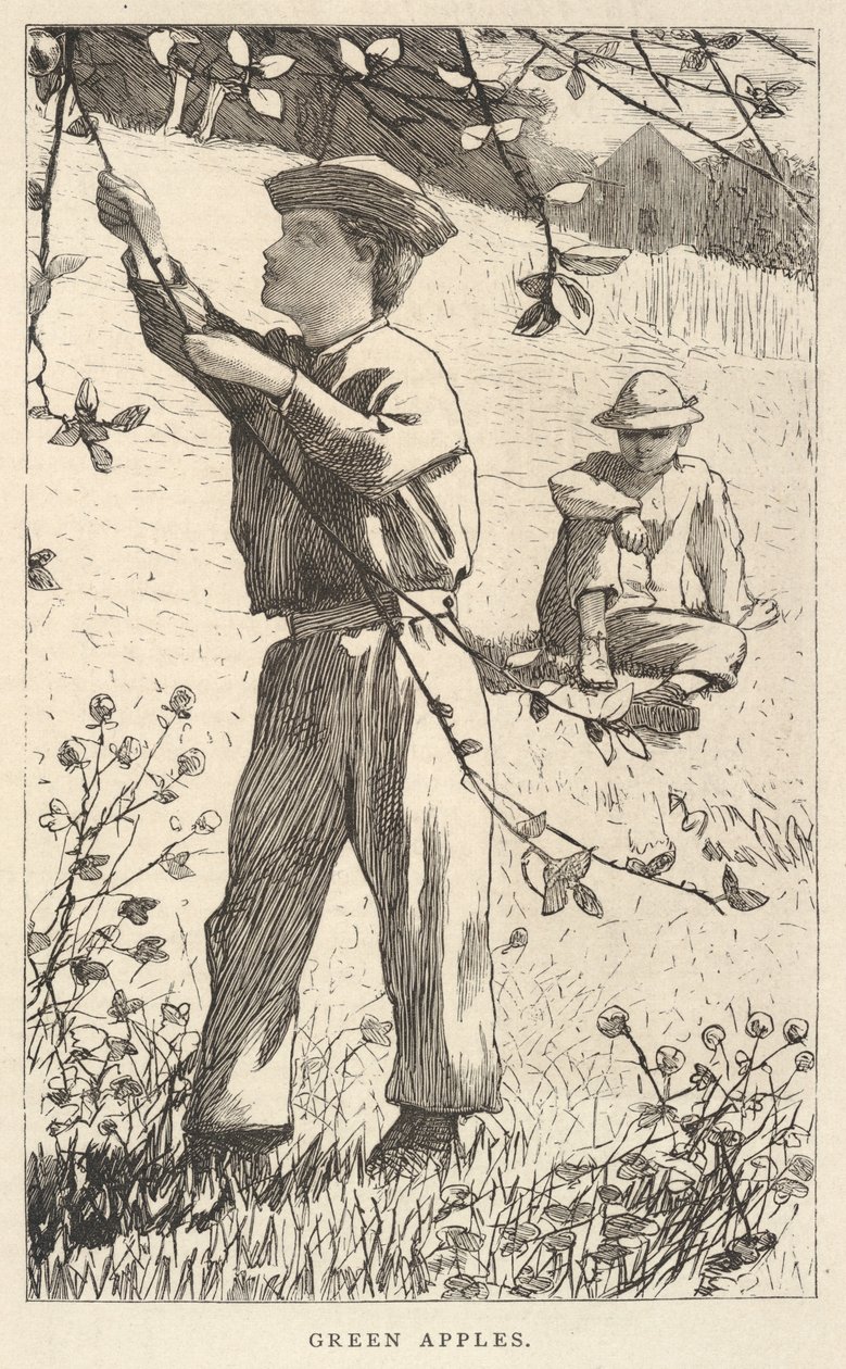 Grüne Äpfel, aus Our Young Folks, August 1868 von Winslow Homer