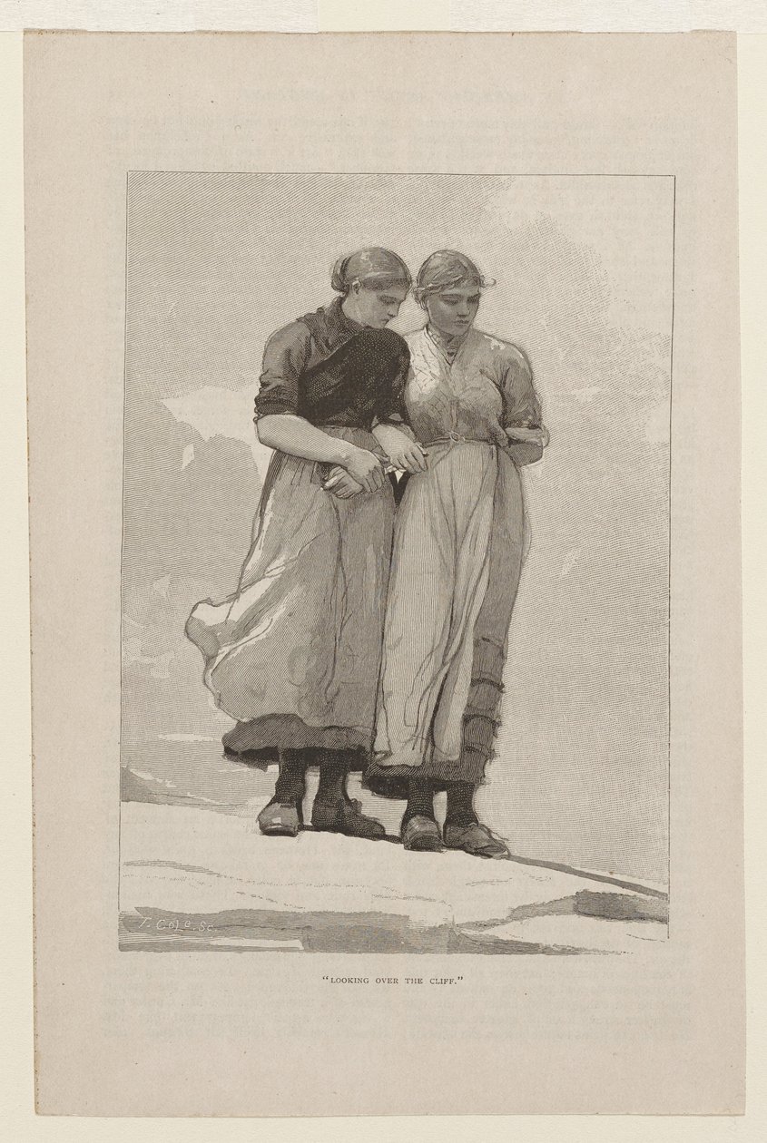 Blick über die Klippe von Winslow Homer