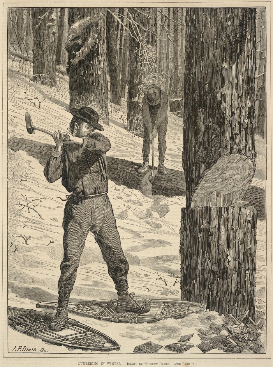 Holzfällerei im Winter, aus Every Saturday: A Journal of Choice Reading, 28. Januar 1871 von Winslow Homer