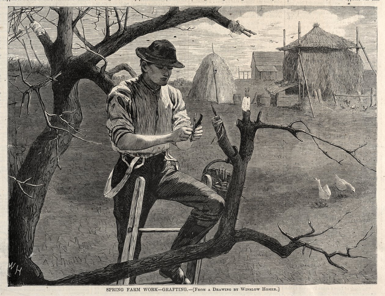 Frühjahrsarbeiten auf dem Bauernhof - Veredelung von Winslow Homer