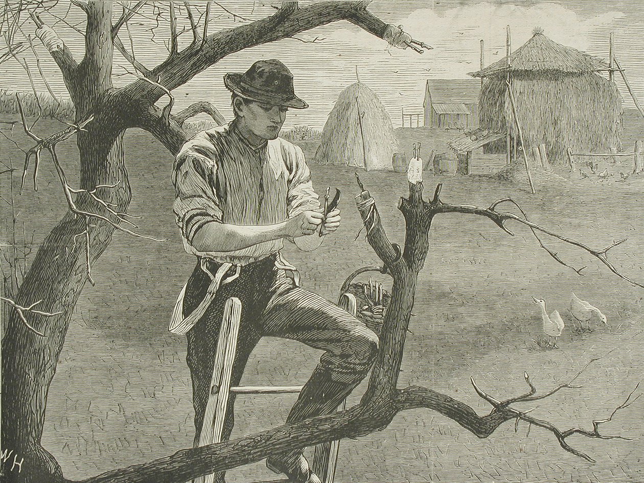 Frühjahrsarbeiten auf dem Bauernhof - Veredelung von Winslow Homer