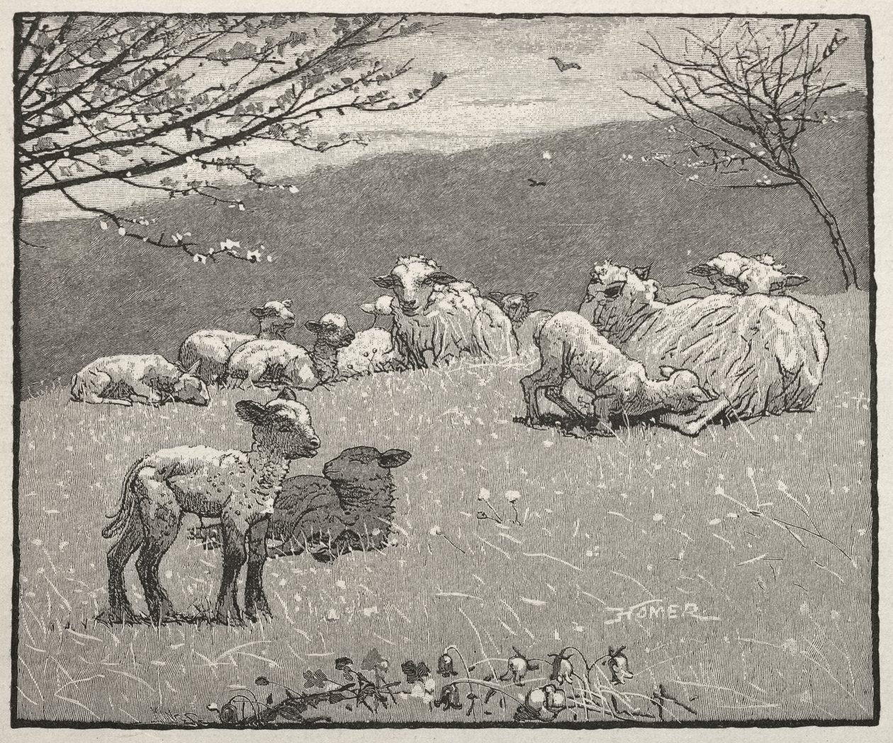 Frühlingslamm von Winslow Homer