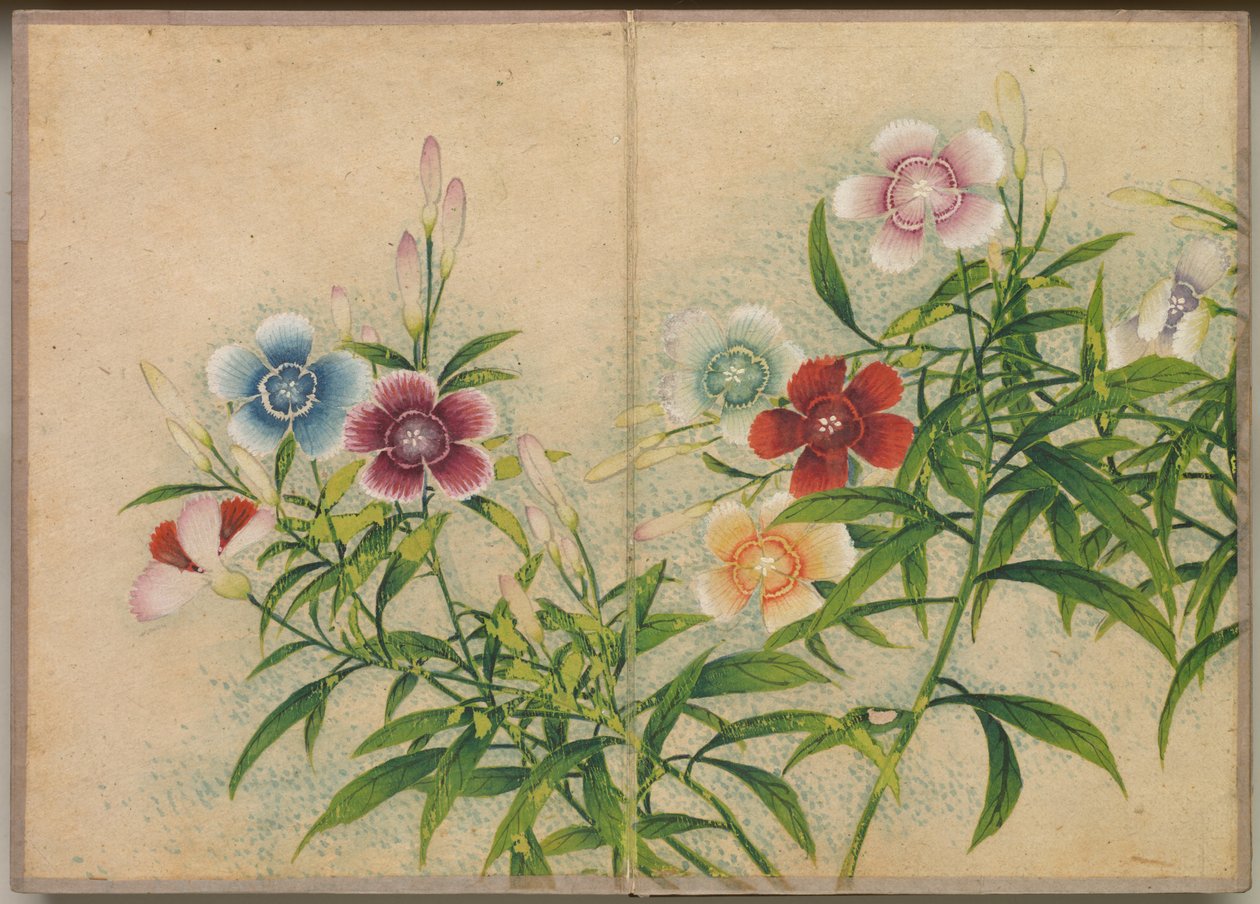 Schreibtischalbum: Blumen- und Vogelmalereien Nelken, 18. Jahrhundert von Zhang Ruoai