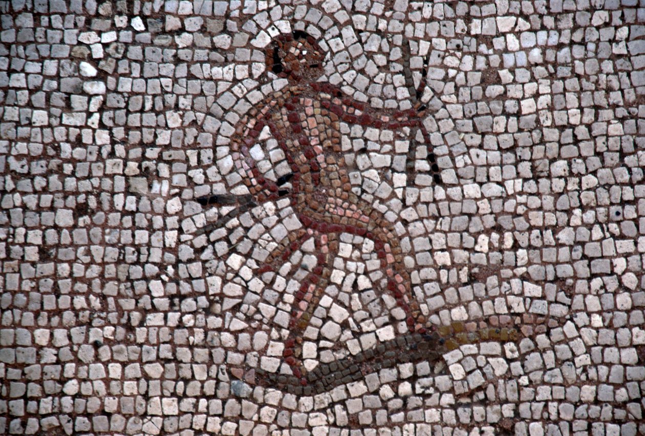 Tänzerin, Mosaik im antiken Hafen von Kos, Insel Kos, Griechenland, römische Zivilisation von Georg Carl Heinrich Dollmann