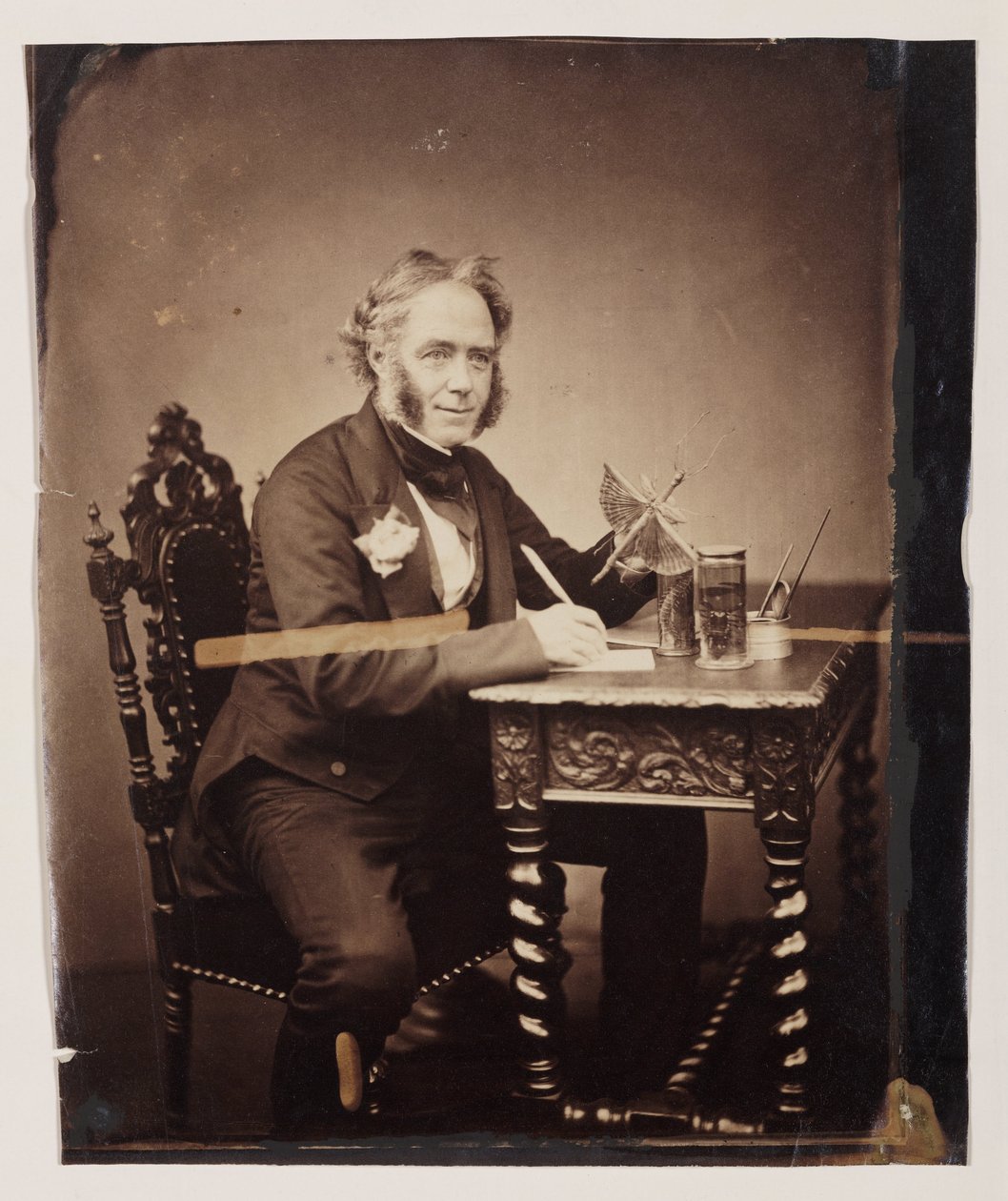 John Obadiah Westwood, englischer Entomologe und Paläograf, ca. 1850 von Ferdinand Georg Waldmuller