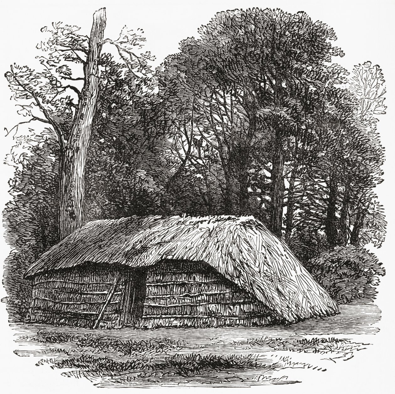 Die Hütte, in der Sir David Livingstone am 1. Mai 1873 starb von . .