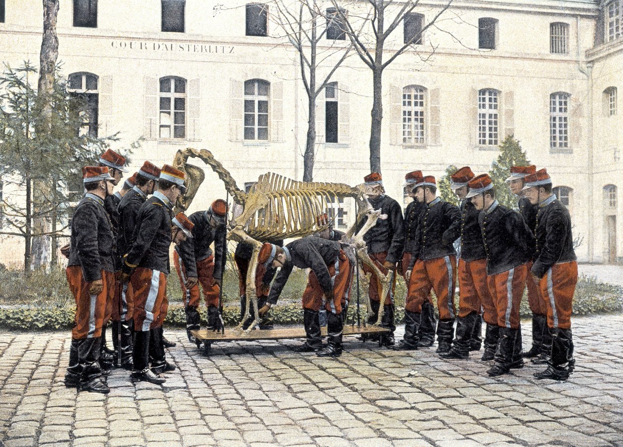 Spezielle Militärschule von Saint-Cyr von French School