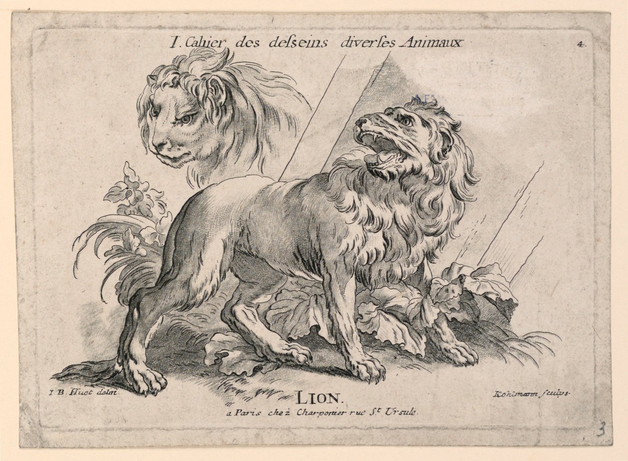 Studien von Löwen, Platte 4 aus "Cahier des Desseins Diverses Animeaux" von after Jean Baptiste Huet