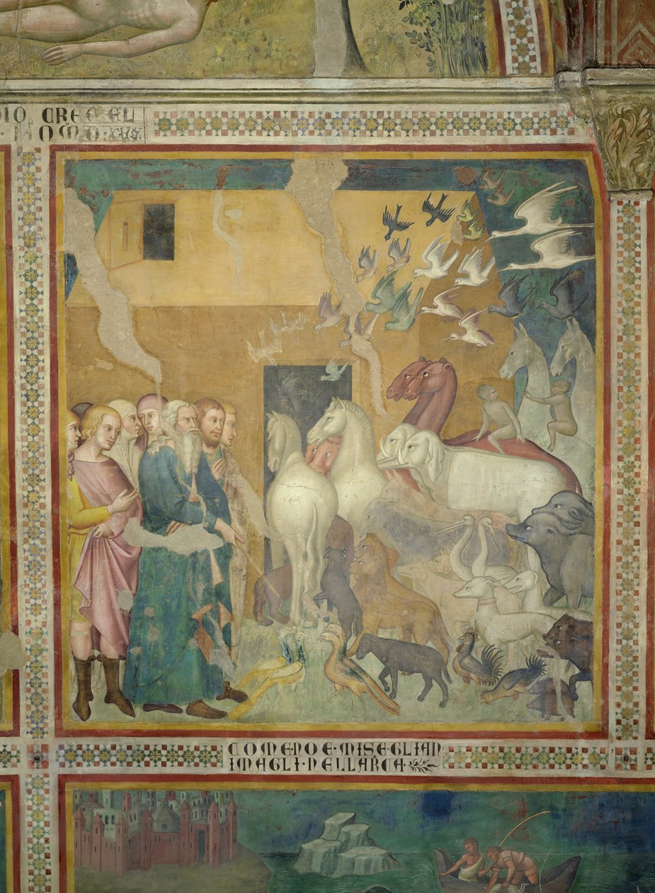 Noah führt die Tiere in die Arche, 1356-67 von also Manfredi de Battilori Bartolo di Fredi