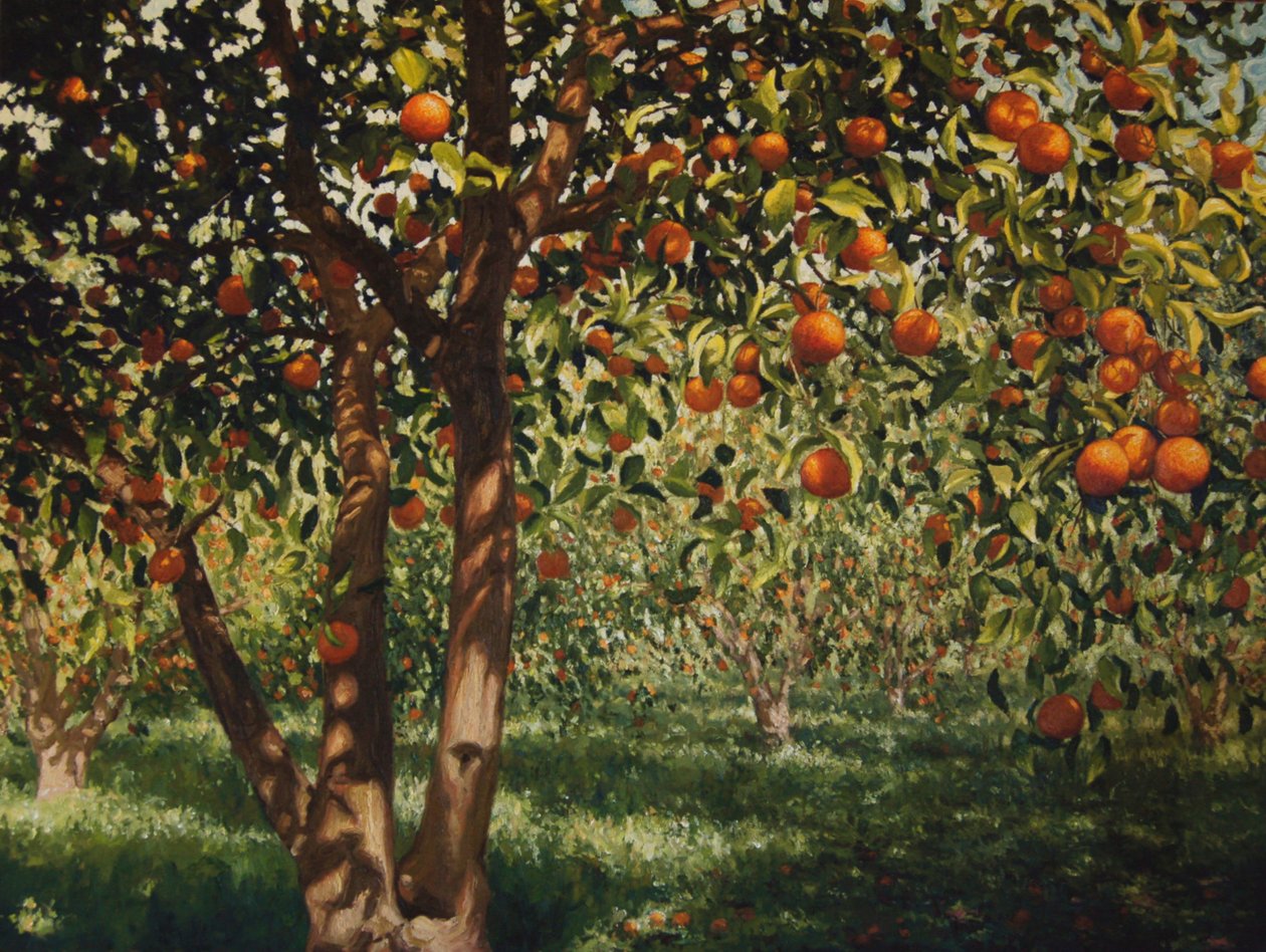 Stille unter den Orangen II, 2012 von angus hampel