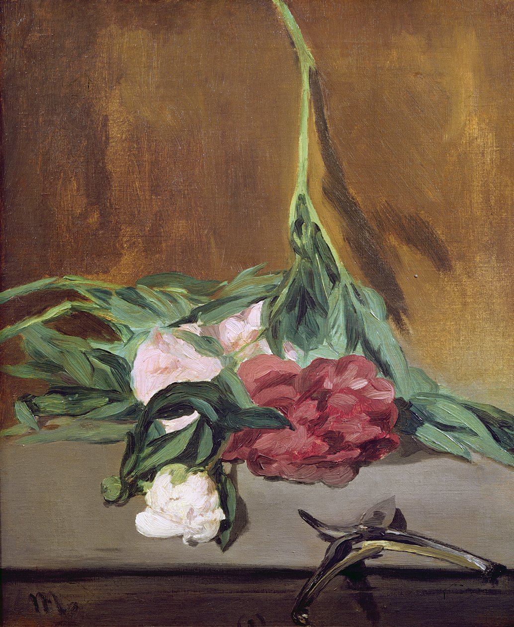 Stiel von Pfingstrosen und Gartenschere, um 1864 von Édouard Manet