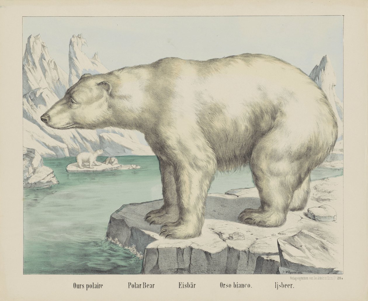 Eisbär von firma Joseph Scholz