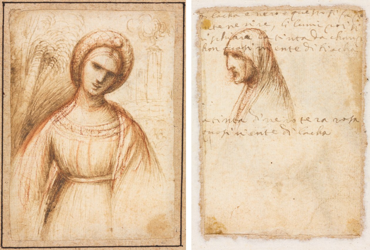 Dame in einer Landschaft (recto); Profil einer alten Frau in Brustlänge (verso) von possibly by Dosso Dossi