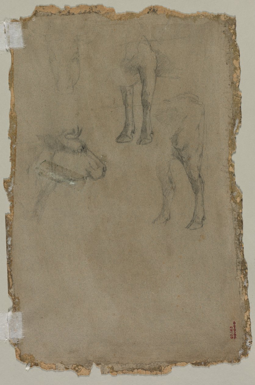 Studien eines Stiers (verso) von possibly by Johan Barthold Jongkind