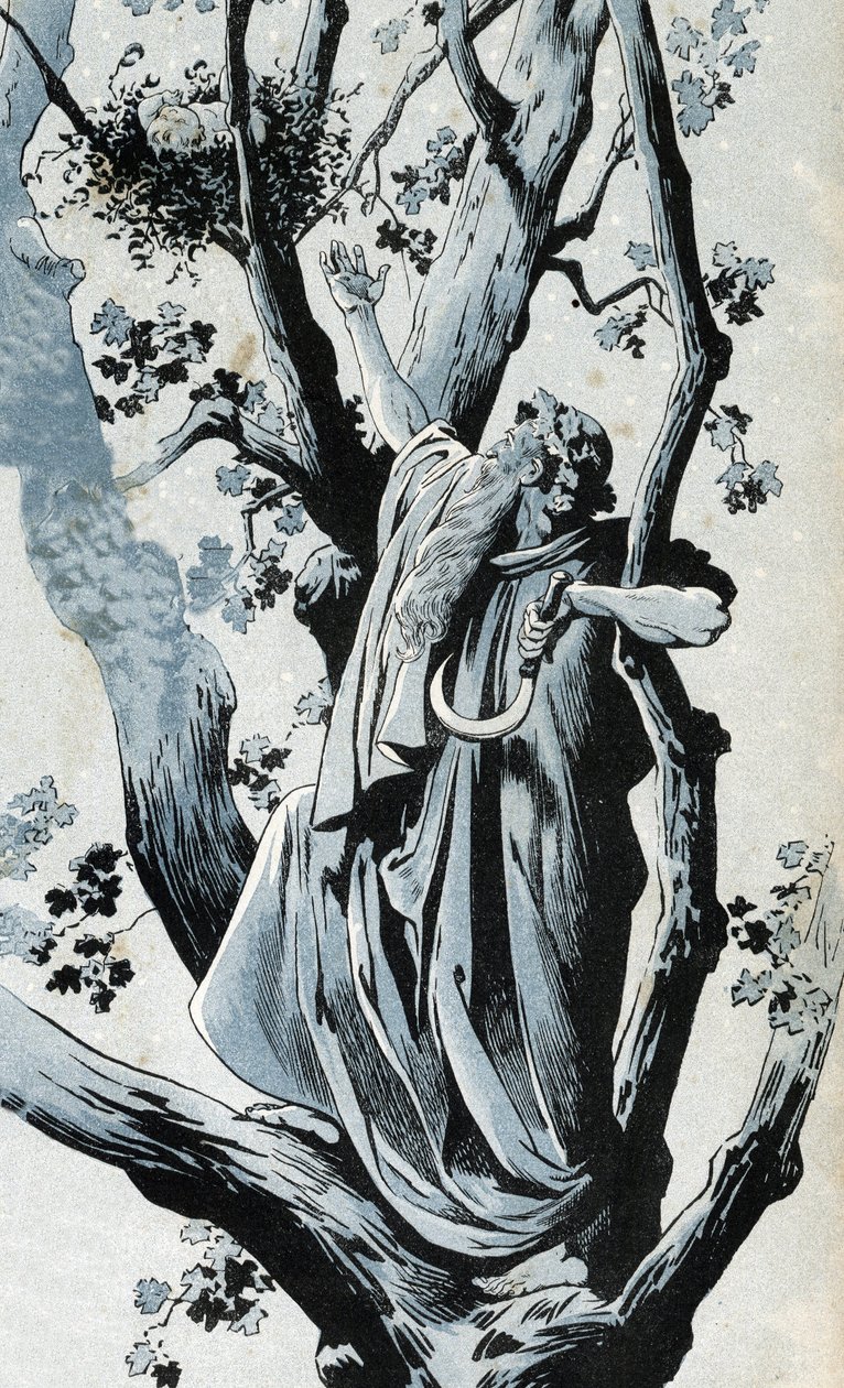 Ein gallischer Druide, der in einer Eiche klettert, um Mistelzweige mit seinem Serpe zu pflücken, entdeckt dort ein kleines Mädchen. In „Frankreich, seine Geschichte erzählt von G. Montorgueil, illustriert von Job“ 1896. Private Sammlung. von pseudonym for Onfray de Breville Jacques Job