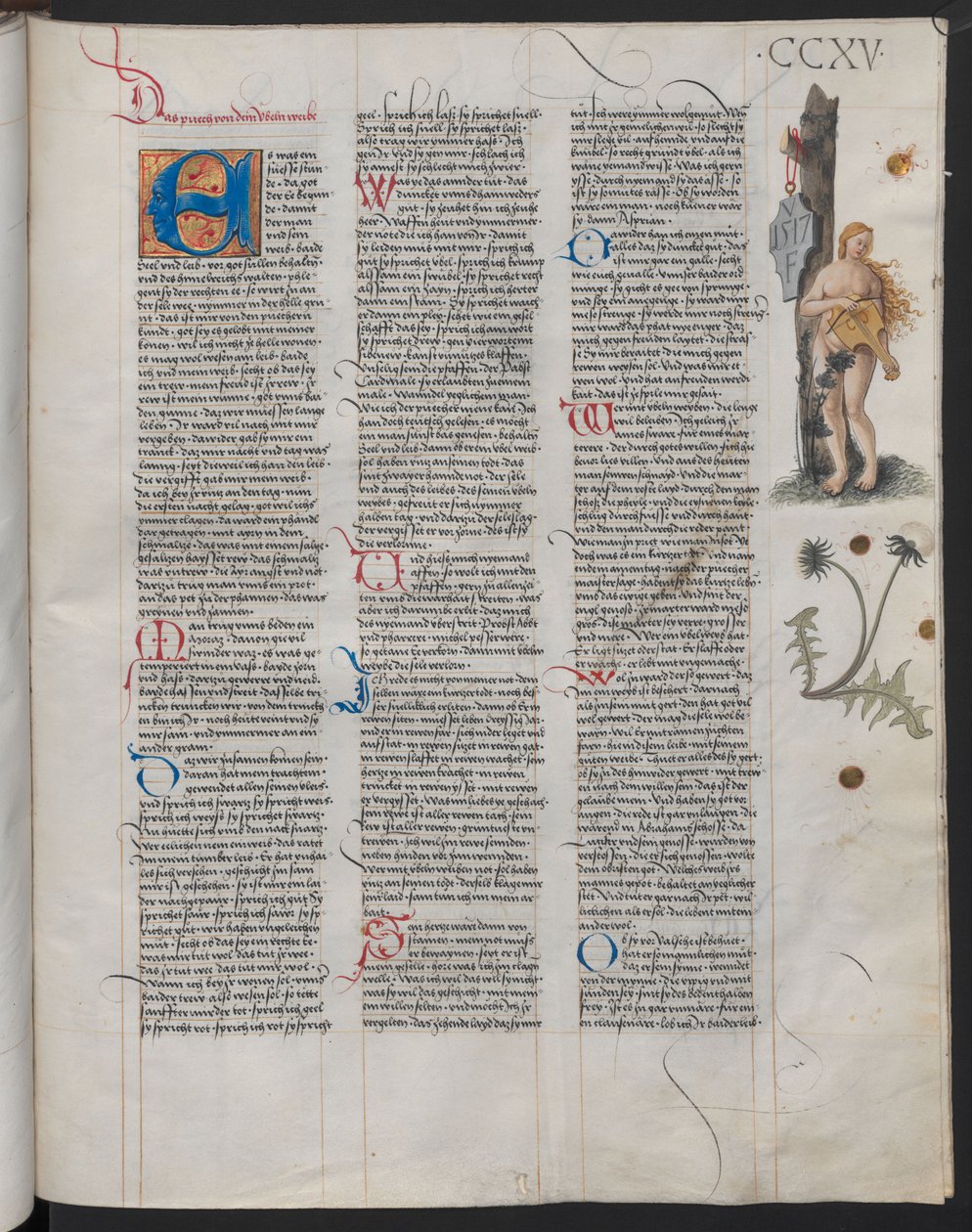 Das Ambraser Heldenbuch, folio 215r von Österreichische Nationalbibliothek,
